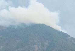 Hatay'da orman yangını! Ekipler sevk edildi