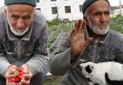 Sosyal medya 85 yaşındaki İbrahim dedeyi konuşuyor! 'Yaptığı bu hareket kelimelerle anlatılmaz’
