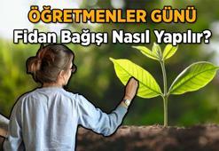 Geri sayım başladı 🌿 Öğretmenler Günü Fidan Bağışı nasıl yapılır, 1 fidan kaç TL? 24 Kasım Öğretmenler Günü fidan bağışı sertifikası nasıl gönderilir?