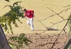 Sokak köpeğini iple sürüklemişti! Belediye personeli ile ilgili karar belli oldu