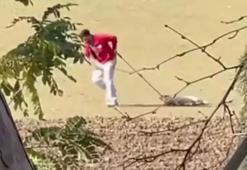 Sokak köpeğini iple sürüklemişti! Belediye personeli ile ilgili karar belli oldu