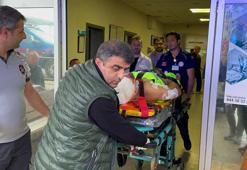 Mantar toplarken dehşeti yaşadı! Ayı saldırısına uğrayan köy imamı yaralandı