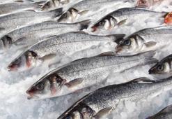 Taze balığı anlamanın en etkili yöntemi! Gözünden anlaşılıyor