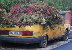 8 yıldır sarmaşıkların arasında kaybolmuştu! İzmir’deki gizemli araba için harekete geçildi