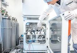 Beyin hücresiyle ‘biyobilgisayar’