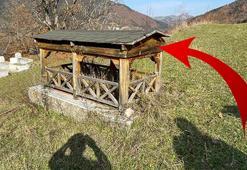 Sıra dışı vasiyet: Büyük adamların mezarı kapalı olur