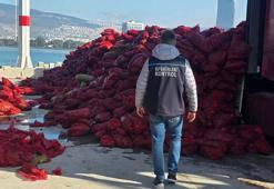 Yer: İzmir! Kaçak avlanan 27 ton kara midye ele geçirildi