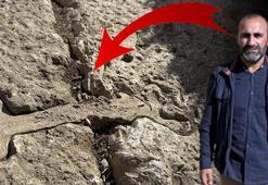 43 yıldır herkes peşindeydi, yeri tespit edildi! Portakal bahçesinin altında eşsiz keşif