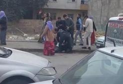 Şanlıurfa'da taşlı sopalı kavga! 3 kişi yaralandı