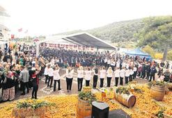 Festival coşkusu devam ediyor