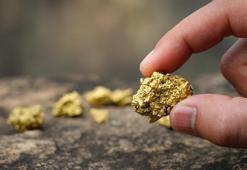 1.444 ton altın içeren maden bulundu! '15 ayda ortaya çıkarıldı, 2.5 milyon tondan fazla cevher var'