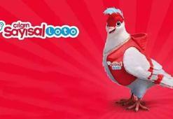 Çılgın Sayısal Loto çekiliş sonuçları açıklandı! 15 Kasım 2025 Çılgın Sayısal Loto sonucu sorgulama millipiyangoonline.com ekranı! Tıkla, Öğren