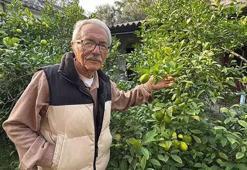 Almanya’da gördü Samsun’da uyguladı! Tam 54 tür: ‘Türkiye geneline satış yaptım’