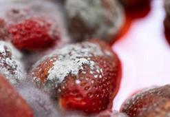 Çilekler böyle muhafaza edince çürümüyor! Çilekleri taze tutan en etkili yöntem