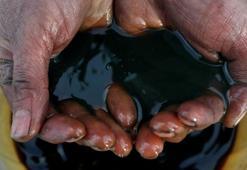 Petrol fiyatları bugün kaç dolar?