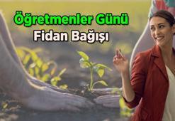 Geleceğe Nefes Projesi 🌿 Öğretmenler Günü hediyesi yerine bağış tercihi: 24 Kasım Öğretmenler Günü fidan bağışı nasıl yapılır, 1 fidan bağışı ne kadar, kaç TL? İşte pdf sertifikalı bağış