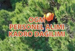 OGM PERSONEL ALIMI BAŞVURU TARİHLERİ 📌 Orman Genel Müdürlüğü 496 personel alımı başvuru nasıl yapılır, şartları neler? Alım yapılacak kadrolar neler?