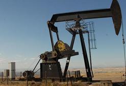 Petrol fiyatları ne kadar oldu?