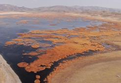 Urartular'ın mühendislik şaheserinde korkutan manzara! ‘Kaybolduğunu görüyoruz’