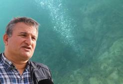 Son dakika... Sapanca Gölü'ndeki gizemli kabarcıklar depremin habercisi mi? Uzmanı açıkladı: Tetikleyebilir