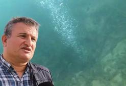 Sapanca Gölü'ndeki gizemli kabarcıklar depremin habercisi mi?