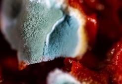 Salça küflenmesine birebir! Kış boyu küflenmiyor