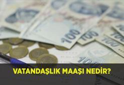 VATANDAŞLIK MAAŞI NEDİR VE KİMLERE VERİLİR? Vatandaşlık maaşı başvurusu ne zaman, ne kadar olacak?
