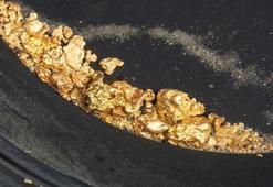 Böylesi ilk defa görüldü! Kayaların içinden altın fışkırdı: 'Bu kadar kalitelisi yok'