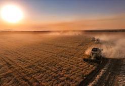 'Çiftçilere tarımsal destek ödemesi bugün yapılacak'