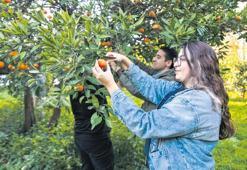 Vatandaşa şifa oldu