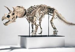 Müzayede evini dinozorlar bastı