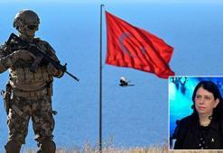 İsrailli uzmandan Türkiye itirafı! 'Korkmak için sebeplerimiz var' dedi, 4 maddeye dikkat çekti