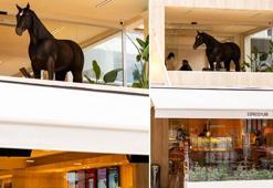 Bu “kahve” çok konuşulur! Espressolab’ın animatronik kahvesi