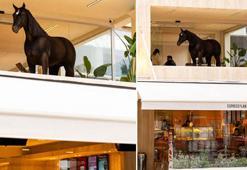 Bu “kahve” çok konuşulur! Espressolab’ın animatronik kahvesi