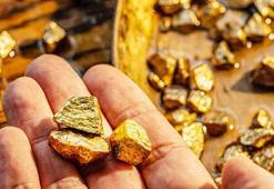 Dev rezerv keşfedildi! Kazılan her yerden altın çıkıyor: '107 tonluk hazine'