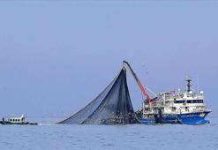 Karadeniz'de hamsi soğuk sulara yöneldi