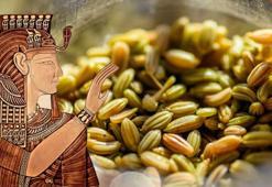 Kleopatra'nın arınma sırrı ortaya çıktı: Bu diyetle güzelliğini koruyordu!