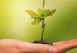 COP30'da küresel "yeşil sanayileşme" gündemi güçlendi