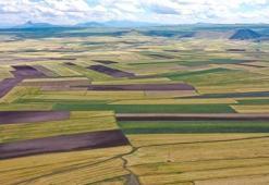 Arazi sahipleri dikkat! Değeri artan arsadan devlet pay alacak