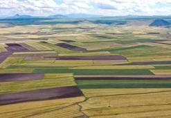 Arazi sahipleri dikkat! Değeri artan arsadan devlet pay alacak