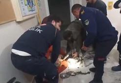 7 yaşındaki otizmli Poyraz Efe’nin ölümüyle ilgili soruşturma başlatıldı