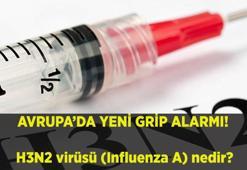 Avrupa'da yeni grip alarmı! Ani ateş ve ağrıyla başlıyor: H3N2 virüsü (Influenza A) nedir? H3N2 varyantı belirtileri neler, nasıl bulaşır ve tedavisi nedir?