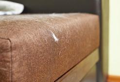 Koltuk ve halılardaki evcil hayvan tüylerini saniyeler içinde toplayan yöntem!