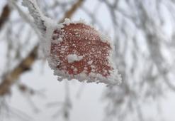 Hava sıcaklığı eksi 14,6 dereceye düştü, Göle ilçesi buz tuttu