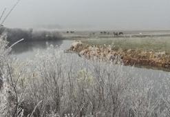 Hava sıcaklığının eksi 14,6 dereceye düştüğü Göle buz tuttu