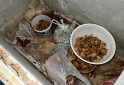 Pide fırınında mide bulandıran görüntü! İş yeri mühürlendi