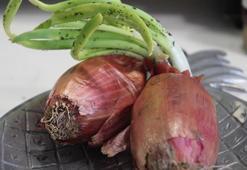 Haftalar geçse bile çürümüyor! Soğanı taze tutan yöntemler