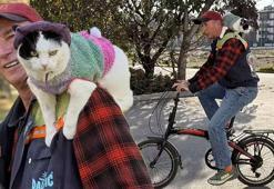 12 yıl önce sahiplendiği kediyle 65 şehir gezdi