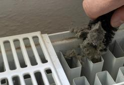 En kolay petek arası temizliği! Ulaşılması zor alanları tertemiz yapıyor