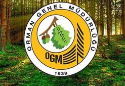 OGM PERSONEL ALIMI BAŞVURU SONUÇLARI | OGM personel alımı sonuçları ne zaman açıklanacak? OGM personel alımı başvuruları bitti mi, kadro dağılımı nasıl?